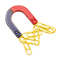 U-shaped red and blue magnet attracting paper clips isolated on white background © dark_blade