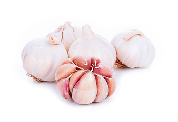 Garlic isolated on white background