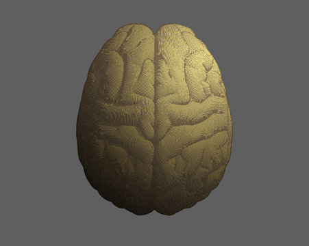 Gold Engraving Brain On Gray BG