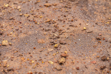 stony dry desert soil. background