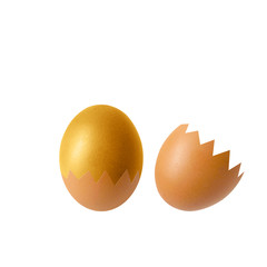 chicken egg and shadow on white background