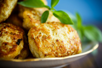 fried chicken cutlets