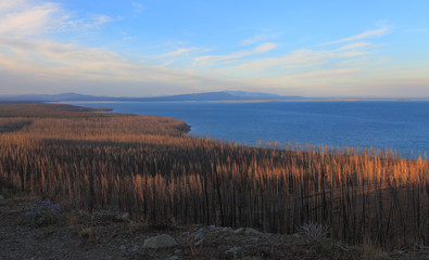 View on Yellowstone Lake, Yellowstone NP, USA 