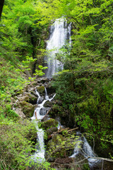 Obraz premium 回顧の滝（秋田県）