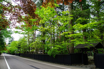 新緑の角館（日本、秋田県）
