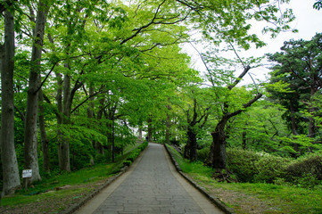 千秋公園　久保田城址御隅櫓に続く道