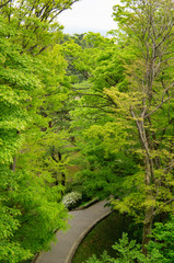 Fototapeta premium 久保田城址御隅櫓から見た千秋公園