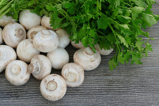 culture mushrooms


