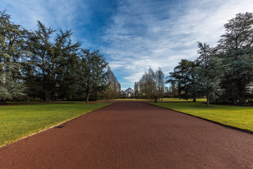 In the park with dramatic sky