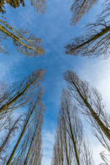 In the park with dramatic sky