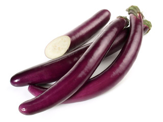 Aubergine - Schlangenaubergine