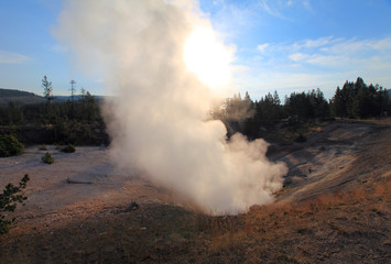 Mud Volcano and Sulphur Caldron, Yellowstone NP, USA 