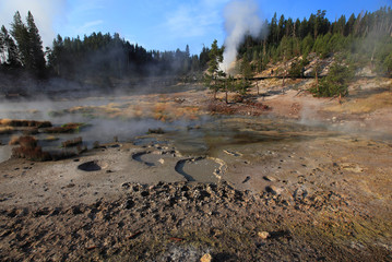 Mud Volcano and Sulphur Caldron, Yellowstone NP, USA 