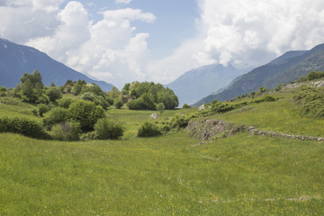 Fototapeta na wymiar Beautiful natural landscape with green grass, trees, mountains and a blue sky with clouds