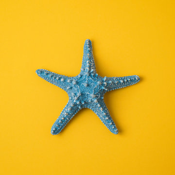 Blue starfish over yellow background