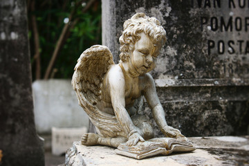 Statue of a cherub reading a book on the stone tablet of a tomb at a graveyard