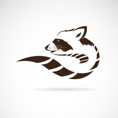 Vector of raccoon design on white background, Wild Animals, Vector illustration. Easy editable layered vector illustration. © yod67