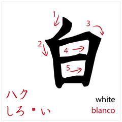 White. Japanese flash card vector design for students