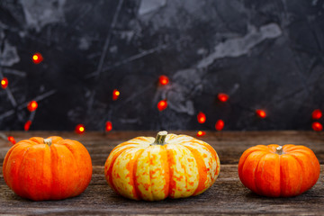 Fall harvest of pumpkins