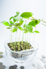 saving money concept