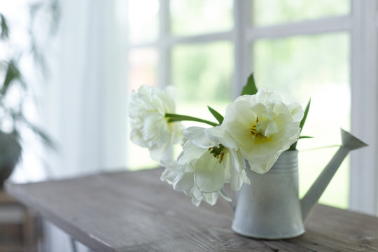 Tulips in a vase./Tulips in a vase on a table. Spring decoration of the house.