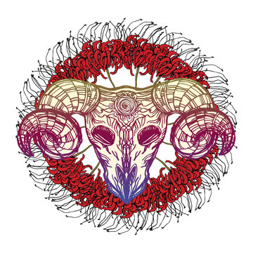 Realistic Detailed Hand Drawn Illustration Of An Old Sheep Skull With Cracks Flower On Forehead And Big Horns On A Background Of Red Spider Lilies Graphic Vintage Tattoo Style Image On Occult