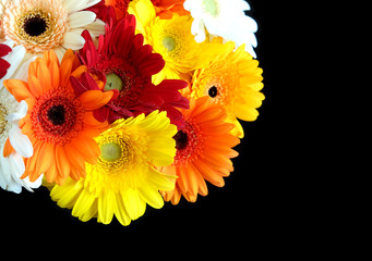 Beautiful round motley bouquet of multicolor gerberas in up left corner of the Photo isolated on...