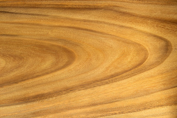 Wood with annual ring