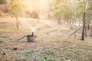 sprinkler of automatic watering - color effect