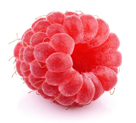 Single red raspberry berry fruit isolated on white background