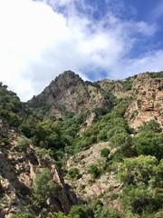 Berge und Felsen auf Elba in Italien 