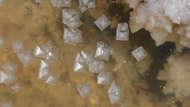 Crystals of salt float on the surface of a puddle on a parched salt lake, close-up.