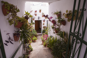 Fototapeta na wymiar patio andaluz
