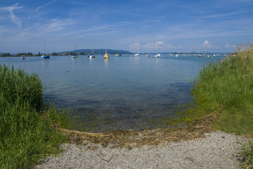 Obraz premium Urlaub Allensbach am schönen Bodensee mit blauen Himmel und Segelbooten