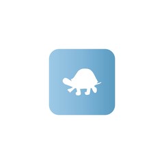 Turtle icon. flat design