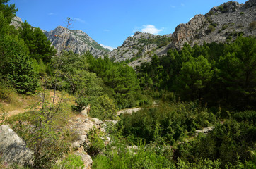 Fototapeta na wymiar Paklenica Nationalpark in Kroatien