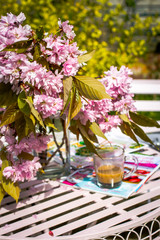 Beautiful and romantic scene in the home garden with a vase of Japanese cherry tree blossoms on the white table