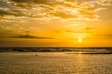 Amazing golden sunset with dramatic clouds, silhouettes of birds including a pelican and calm ocean, Senegal, Africa