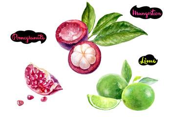 mangosteen lime pomegranate watercolor