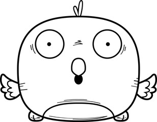 Surprised Little Bluebird