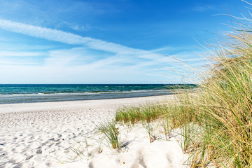 Ostseestrand mit Dünengras © js-photo