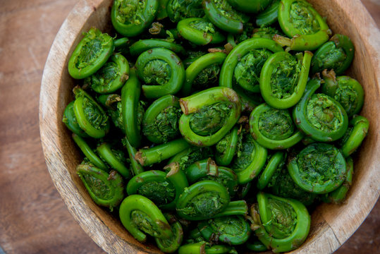 Fiddleheads