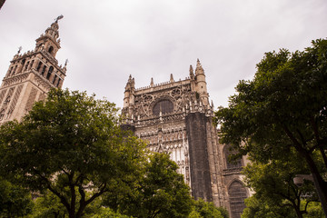 Fototapeta premium torre catedral de sevilla