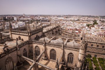 Fototapeta na wymiar vista aerea de la catedral de sevilla