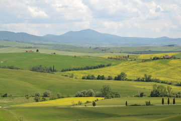 Lost in the enchanting Val D'Orcia 