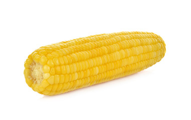 corn isolated on white background