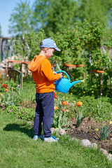 Caucasian boy watering flowers with water can on a croft. © Artem