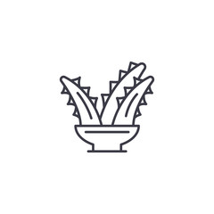 Kalanchoe linear icon concept. Kalanchoe line vector sign, symbol, illustration.