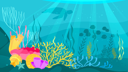 Fototapeta na wymiar underwater background with sea flora
