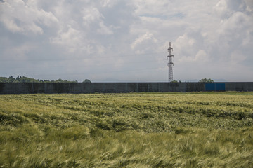 Lärmschutzwand hinter Feld